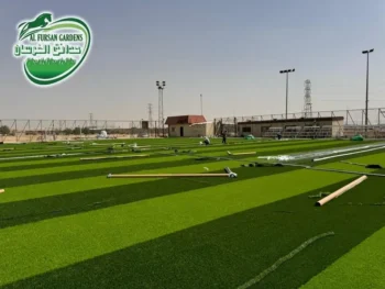 مشاريع إنشاء ملاعب كرة قدم بأماكن مختلفة — حدائق الفرسان