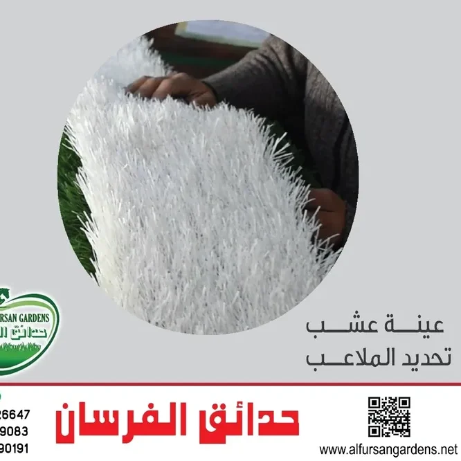rs=w_740,cg_true,m