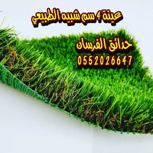 rs=w_984,h_984