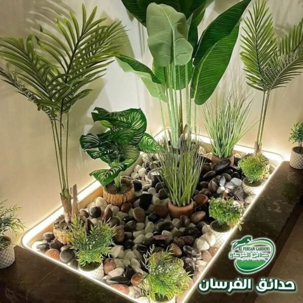تصميم حدائق حي الواحة